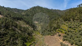 Land for sale in Sabrosa, Portugal — €260,000