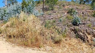Land for sale in Monchique, Portugal — €18,000