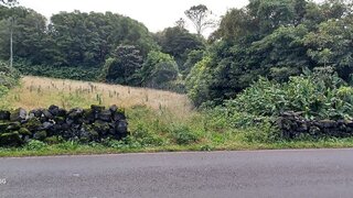 Land for sale in Madalena, Portugal — €57,000