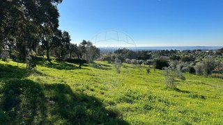 Land for sale in Abrantes, Portugal — €58,000
