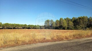 Land for sale in Torres Novas, Portugal — €170,000