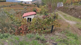 Terreno em Mesão Frio