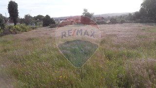 Land for sale in Alcobaça, Portugal — €24,920