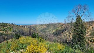 Land for sale in Odemira, Portugal — €25,000