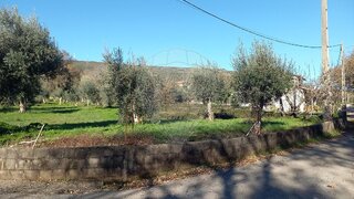 Land for sale in Alvaiázere, Portugal — €35,000