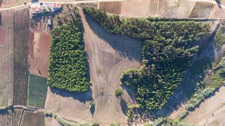 Land for sale in Torres Vedras, Portugal — €500,000