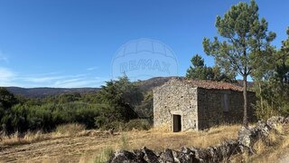 Terreno em Sernancelhe