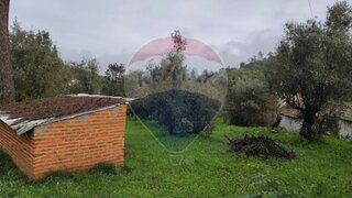 Terreno em Constância