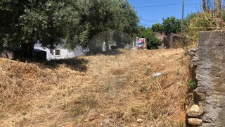 Terreno em Torres Novas