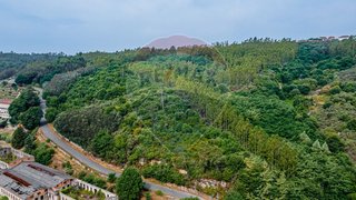 Land for sale in Tondela, Portugal — €69,900