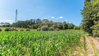 Land for sale in Vila Verde, Portugal — €73,600