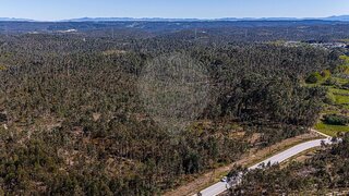Terreno em Tondela