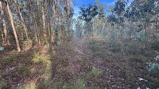 Land for sale in Batalha, Portugal — €6,500