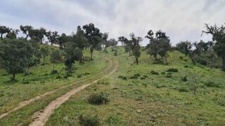 Land for sale in Santiago do Cacém, Portugal — €1,890,000