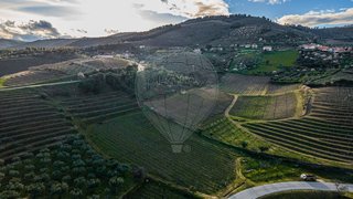 Land for sale in Vila Nova de Foz Côa, Portugal — €45,000