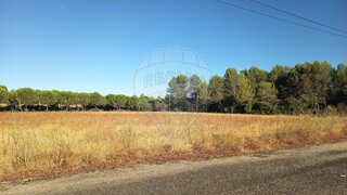 Land for sale in Alcanena, Portugal — €250,000