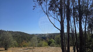 Land for sale in Santa Comba Dão, Portugal — €9,500