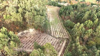 Land for sale in Cabeceiras de Basto, Portugal — €31,000