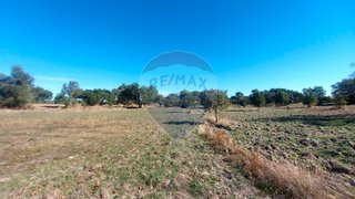 Land for sale in Penamacor, Portugal — €25,000