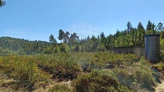 Terreno para venda em Vouzela, Portugal — 18 990 €