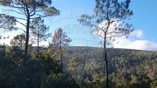 Land for sale in Torres Novas, Portugal — €12,000