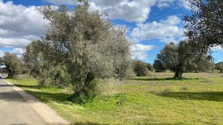 Land for sale in Silves, Portugal — €80,000