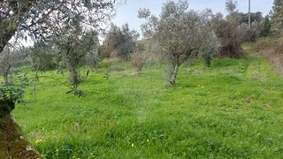 Terreno · 4720 m² · 22 500 €