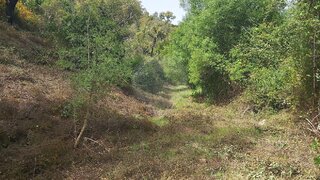Terreno em Silves