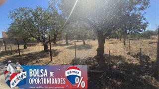 Land for sale in Alcanena, Portugal — €29,900
