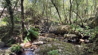 Land for sale in Marco de Canaveses, Portugal — €180,000