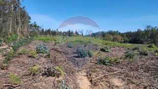 Land for sale in Figueira da Foz, Portugal — €7,500