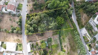 Land for sale in Cantanhede, Portugal — €30,000