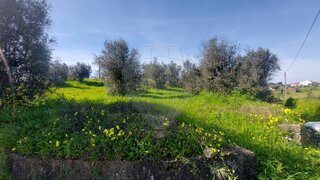 Land for sale in Abrantes, Portugal — €30,000