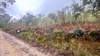 Land for sale in Barcelos, Portugal — €49,000