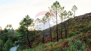 Land for sale in Fafe, Portugal — €22,500