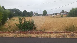 Land for sale in Vagos, Portugal — €49,000