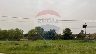 Land for sale in Montemor-o-Novo, Portugal — €75,000