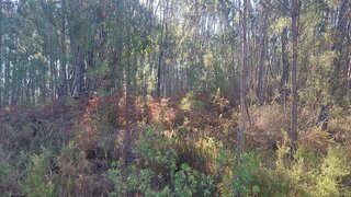 Terreno · 5000 m² · 7500 €