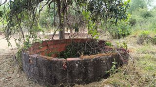 Terreno em Penamacor