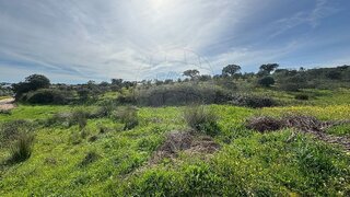 Terreno em Reguengos de Monsaraz