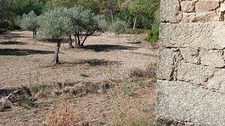 Land for sale in Sabugal, Portugal — €35,900