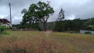 Land for sale in Mação, Portugal — €20,000