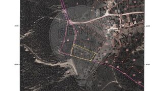 Land for sale in Tomar, Portugal — €2,250