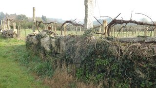 Land for sale in Monção, Portugal — €26,000