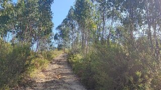 Land for sale in Tomar, Portugal — €3,000