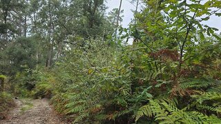 Land for sale in Barcelos, Portugal — €15,000
