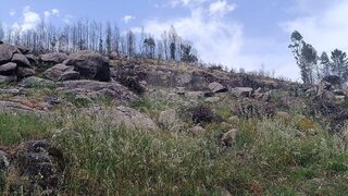 Land for sale in Penafiel, Portugal — €78,600