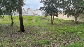 Land for sale in Cartaxo, Portugal — €62,500