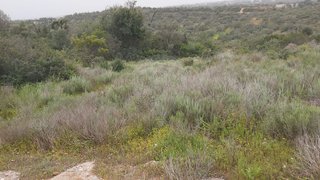 Land for sale in Albufeira, Portugal — €80,000