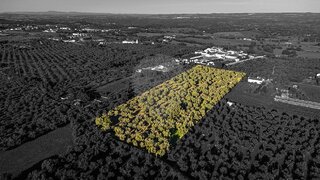Land for sale in Vila Viçosa, Portugal — €100,000